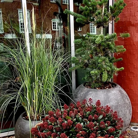 Hotel Dalgas, Bw Signature Collection Brande