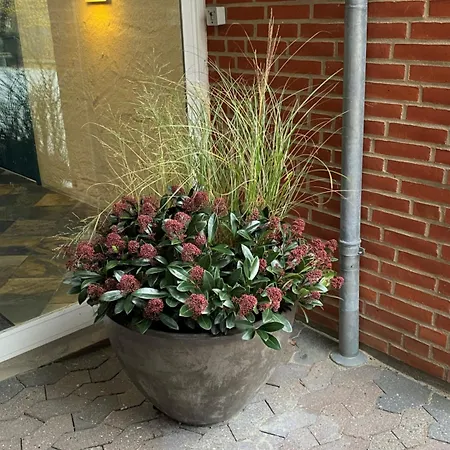 Dalgas, Bw Signature Collection