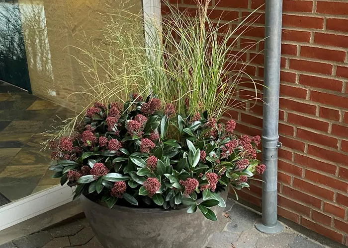 Dalgas, Bw Signature Collection